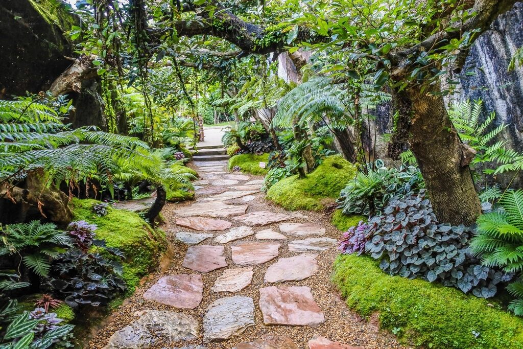 Flagstone path through a shade garden