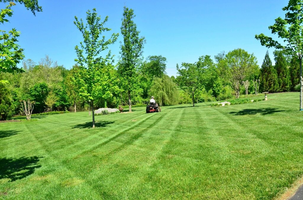 Freshly striped lawn on a large property
